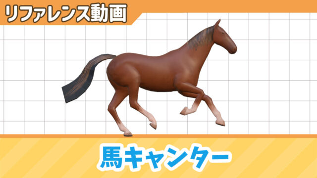 キャンターで走る馬のリファレンス動画