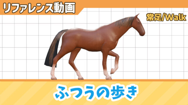 歩く馬のリファレンス動画