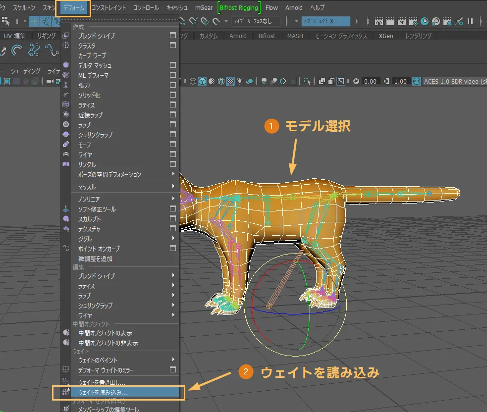ウェイトを読み込み
